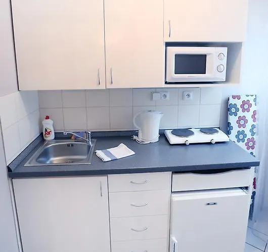 Pushkin Apartman *